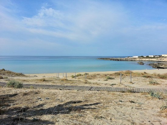 spiaggia-di-montedarena.jpg